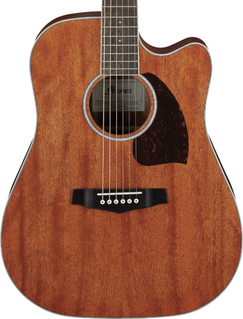 Ibanez PF16MWCEOPN Western gitaar met element
