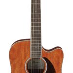 Ibanez PF16MWCEOPN Western gitaar met element