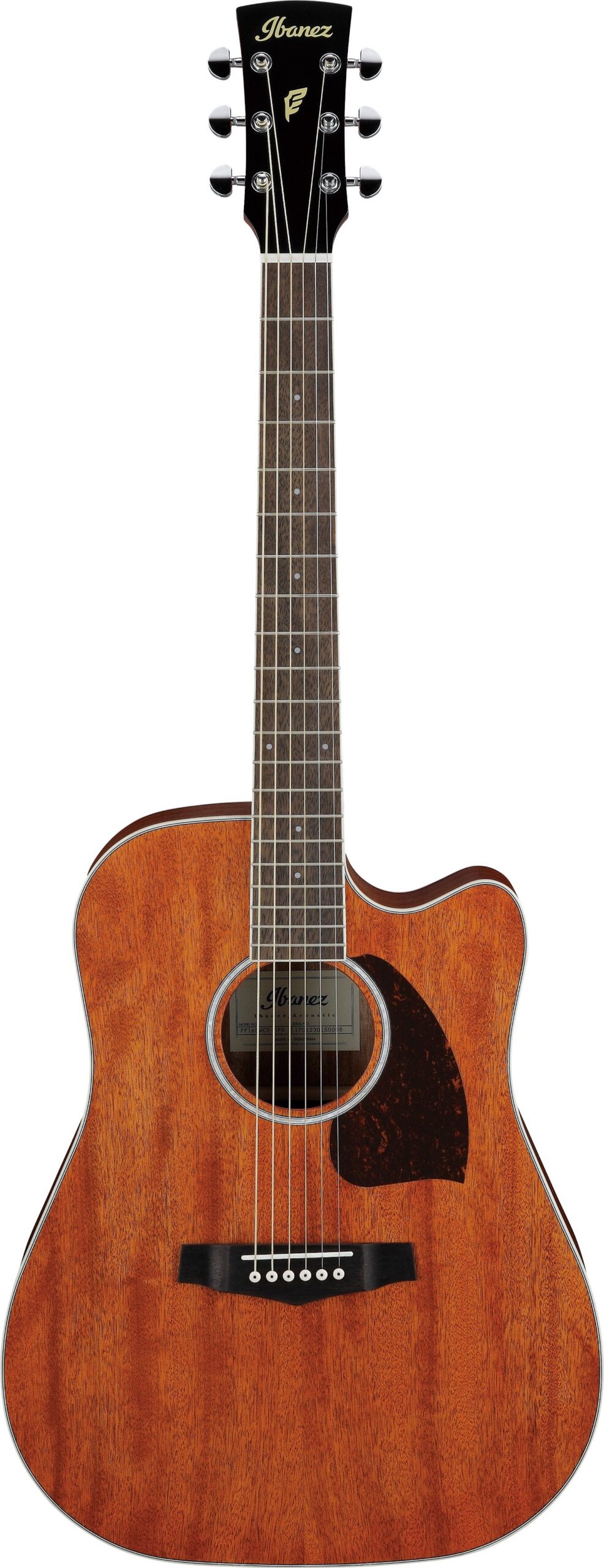 Ibanez PF16MWCEOPN Western gitaar met element