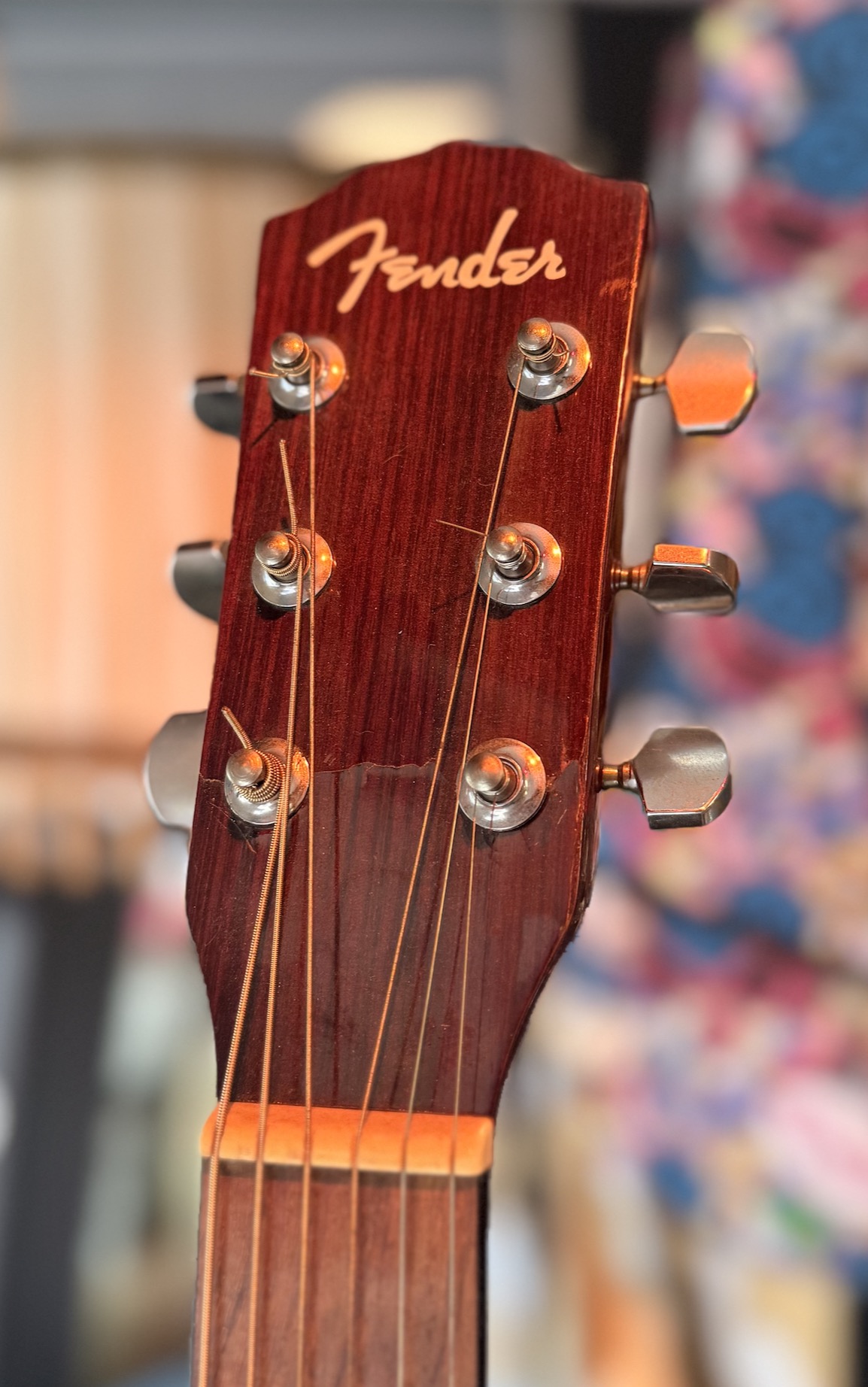 Fender DG3 Western gitaar