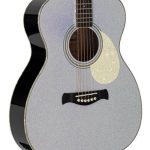 Richwood HSA-55-GS Western gitaar