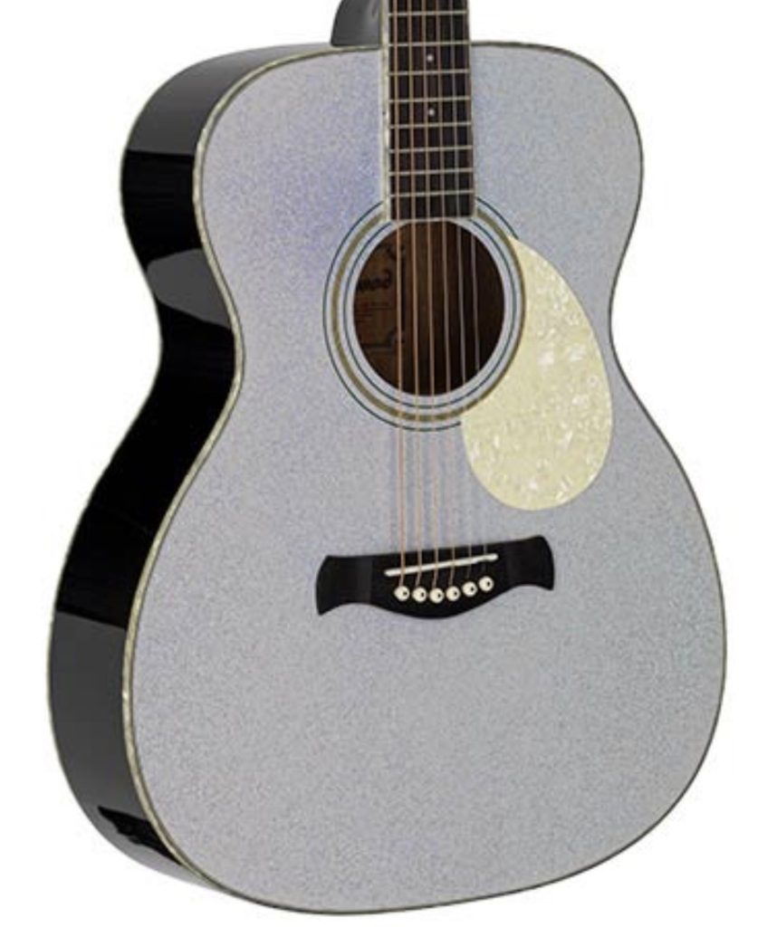 Richwood HSA-55-GS Western gitaar