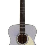 Richwood HSA-55-GS Western gitaar