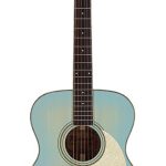 Richwood HSA-55LB Western gitaar