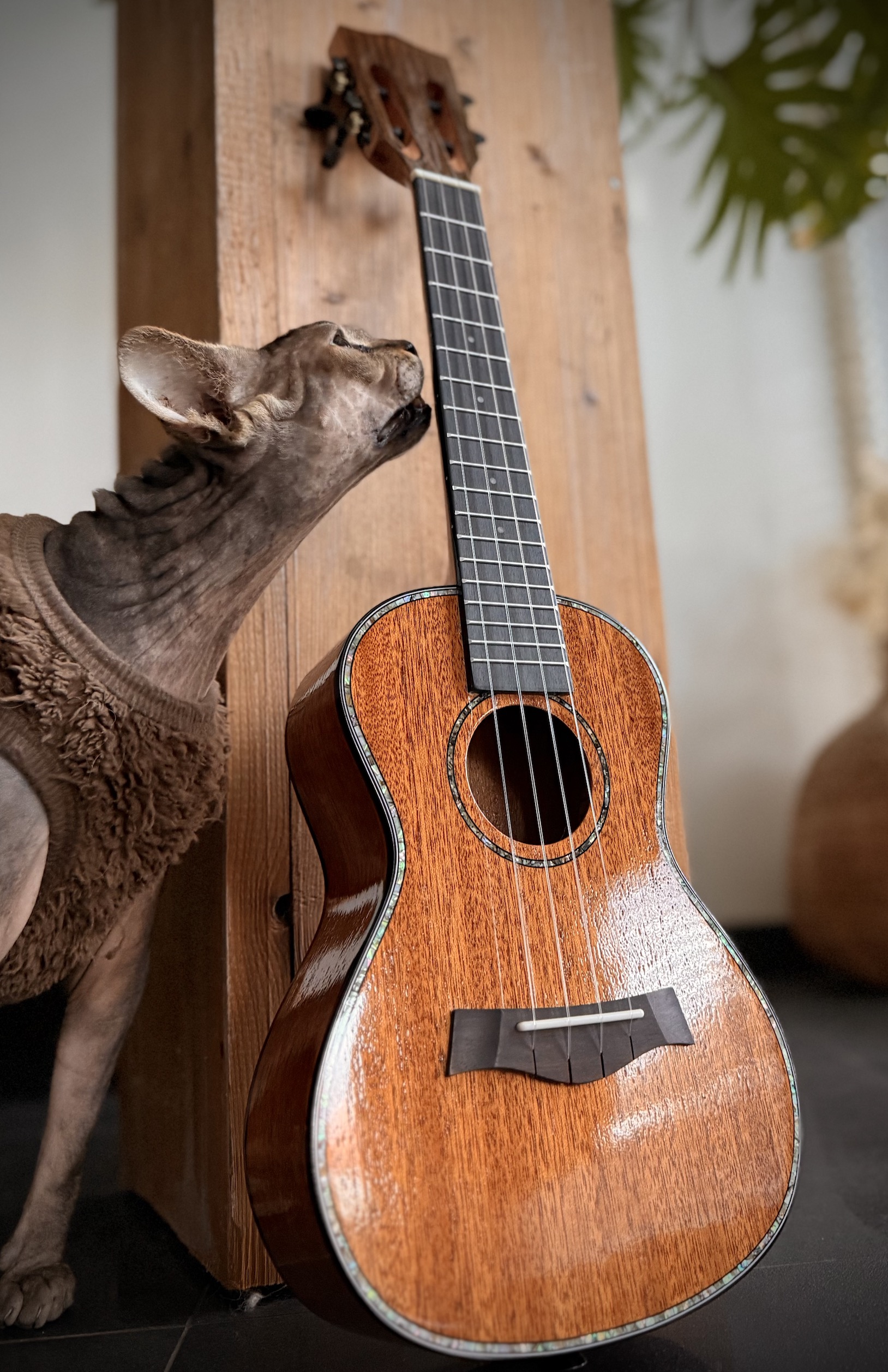 Blackhorn BU33-MAH Solid Tenor ukelele