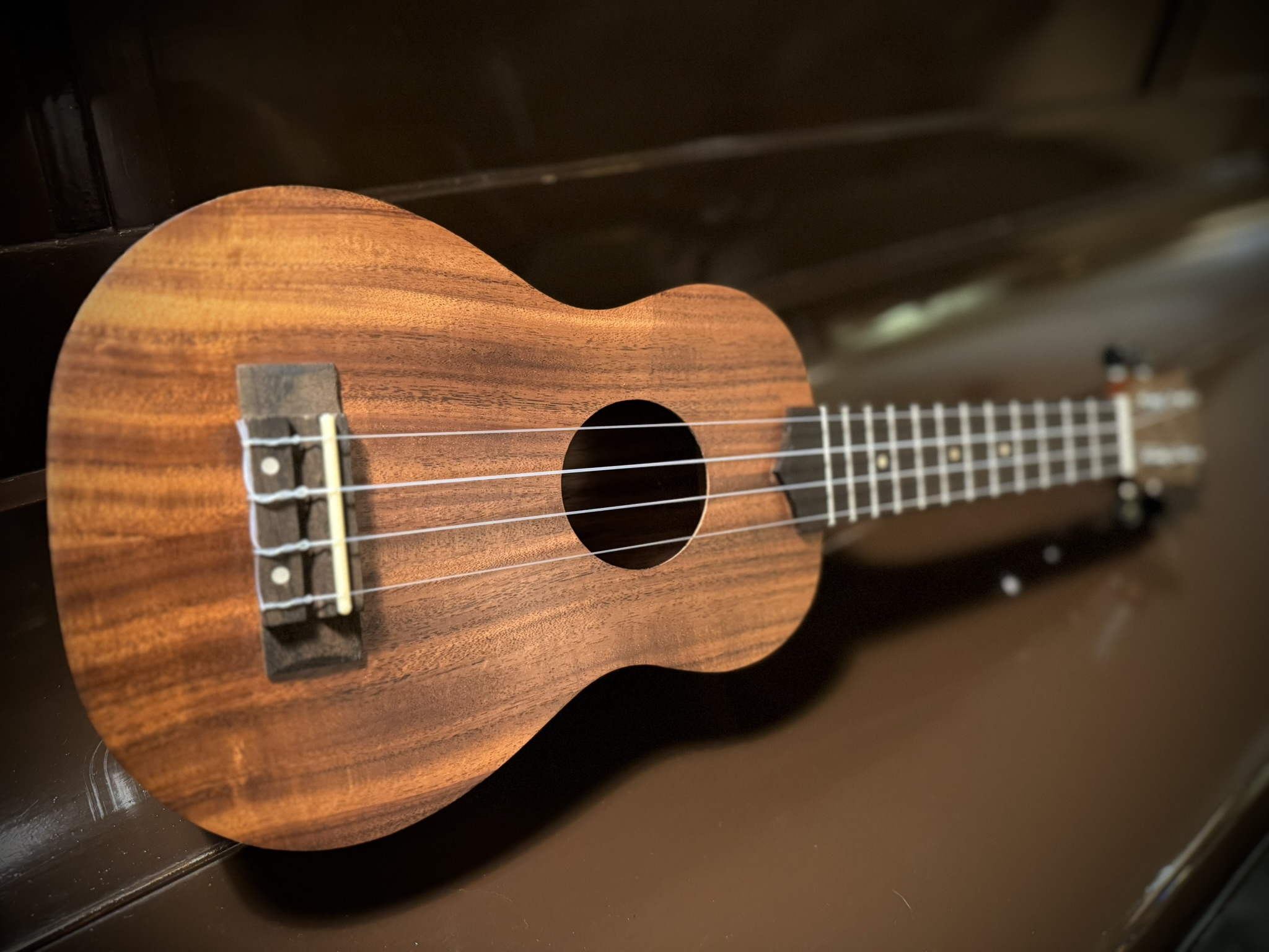 Blackhorn BU31s-MAH  (BAG) Concert ukelele