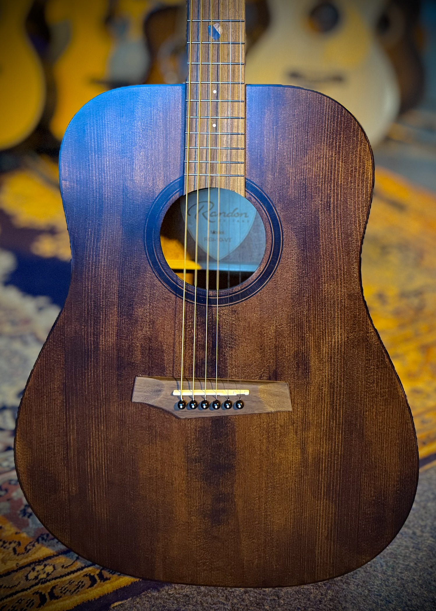 Randon RG-I10VT dlx Western gitaar