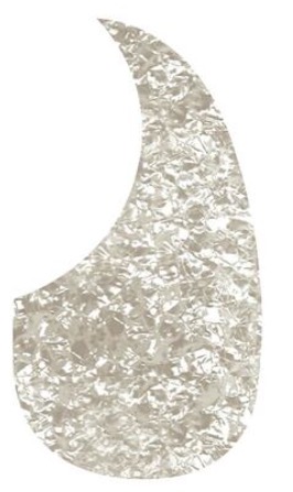 Blackhorn AG-100-PW Acoustisch model