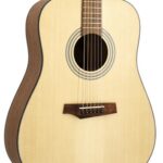 Randon RGI-01 nat dlx Western gitaar