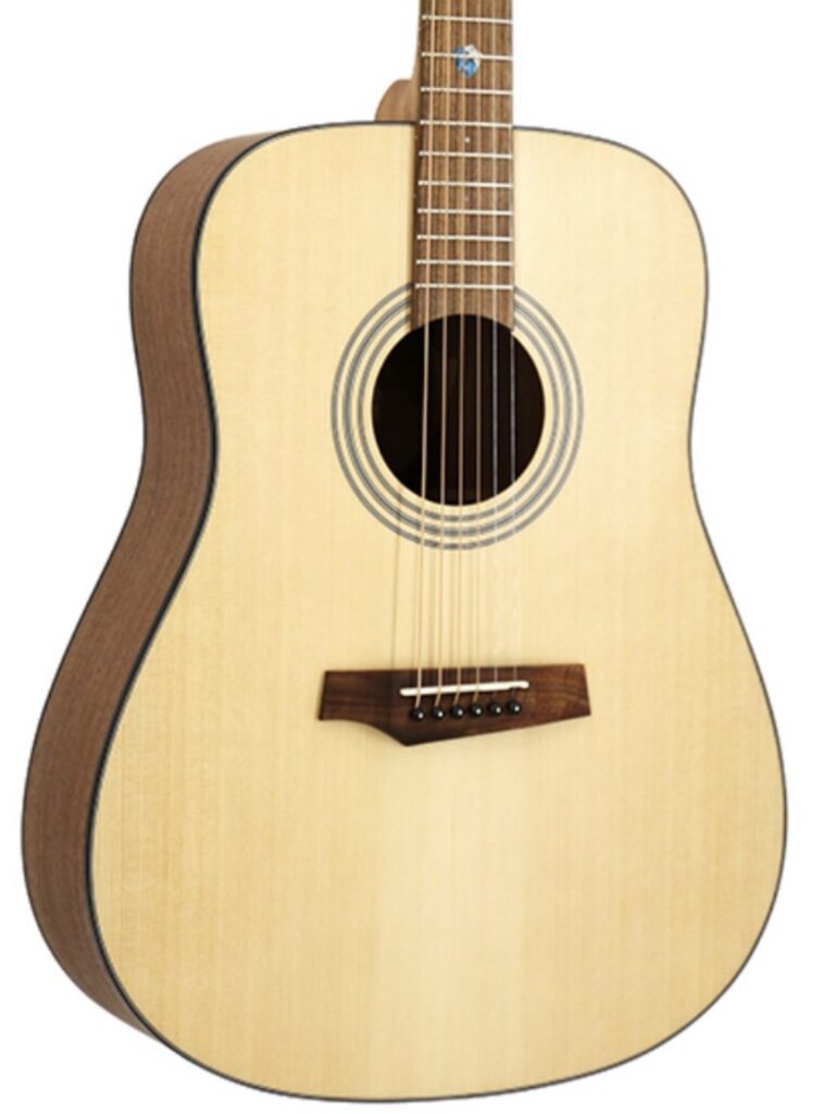 Randon RGI-01 nat dlx Western gitaar
