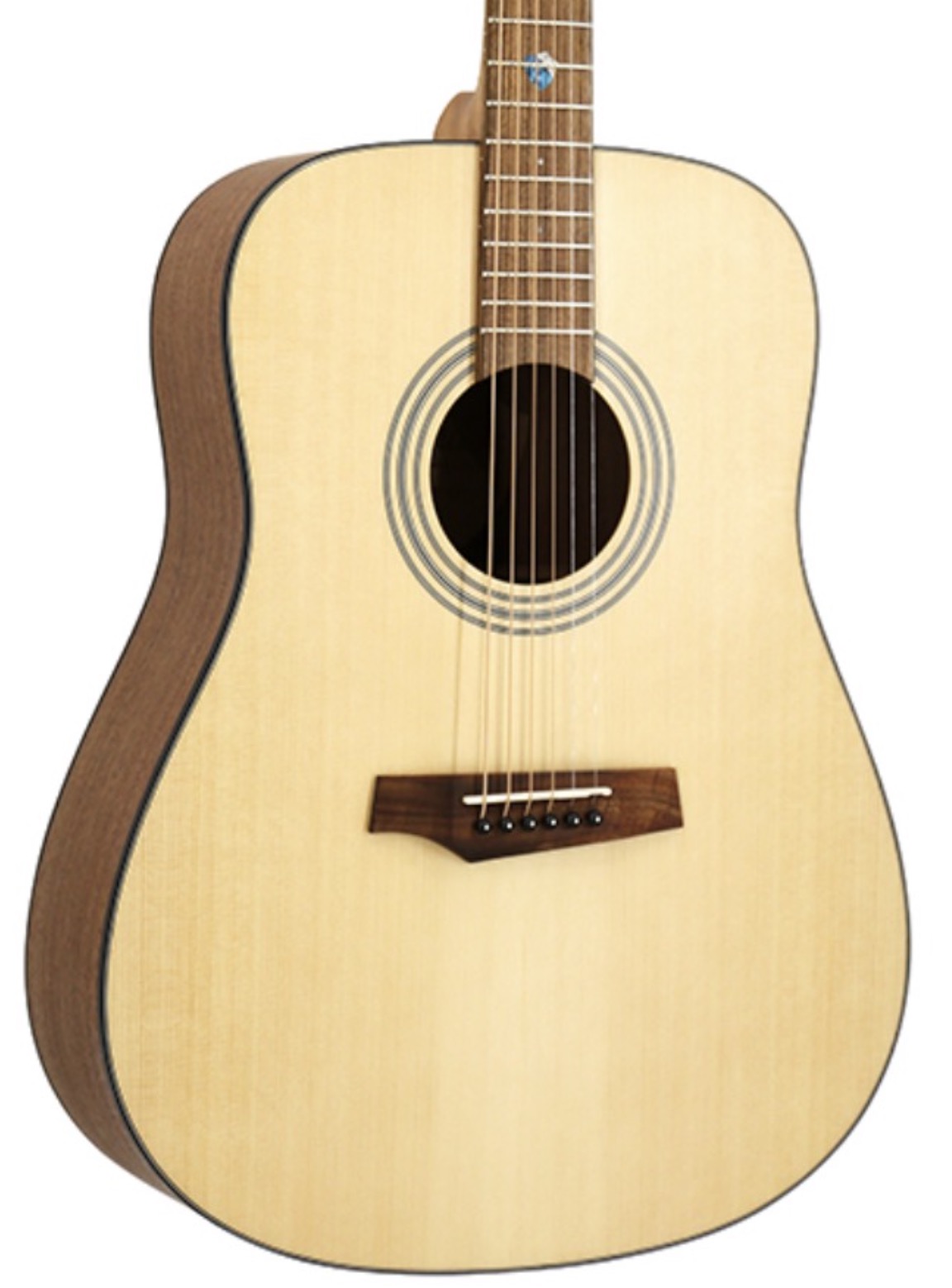 Randon RGI-01 nat dlx Western gitaar