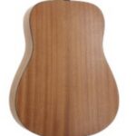 Randon RGI-01 nat dlx Western gitaar