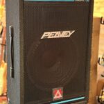Peavey  Eurosys 2 (setprijs) Passieve speaker