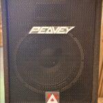 Peavey  Eurosys 2 (setprijs) Passieve speaker