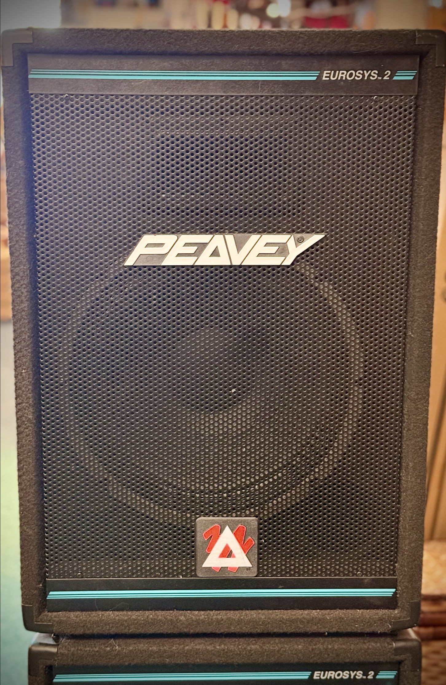 Peavey  Eurosys 2 (setprijs) Passieve speaker