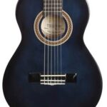 Valencia ¼ VC101BUS dlx ¼ Klassieke gitaar