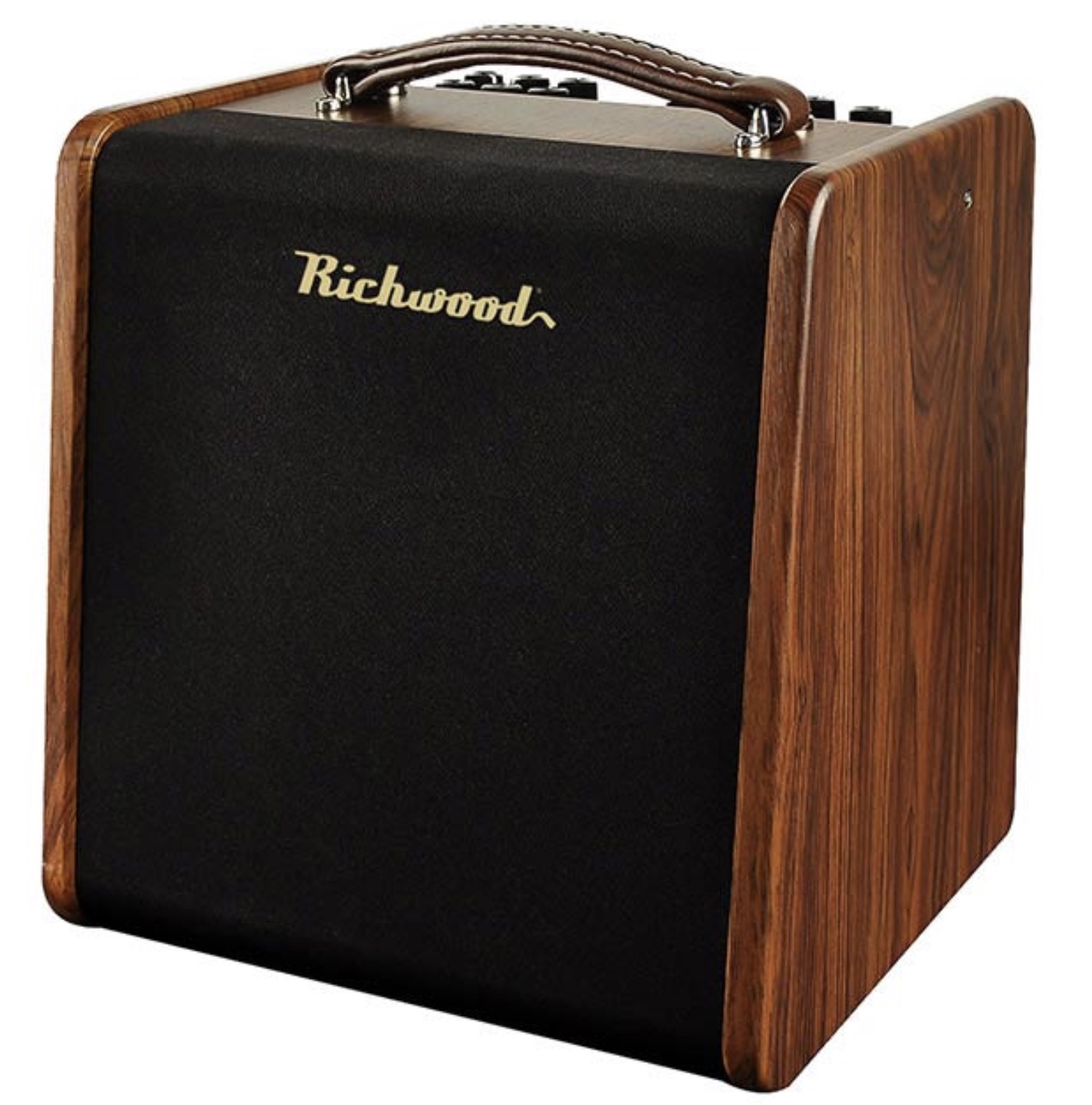 Richwood RPF65 Acoustic versterker