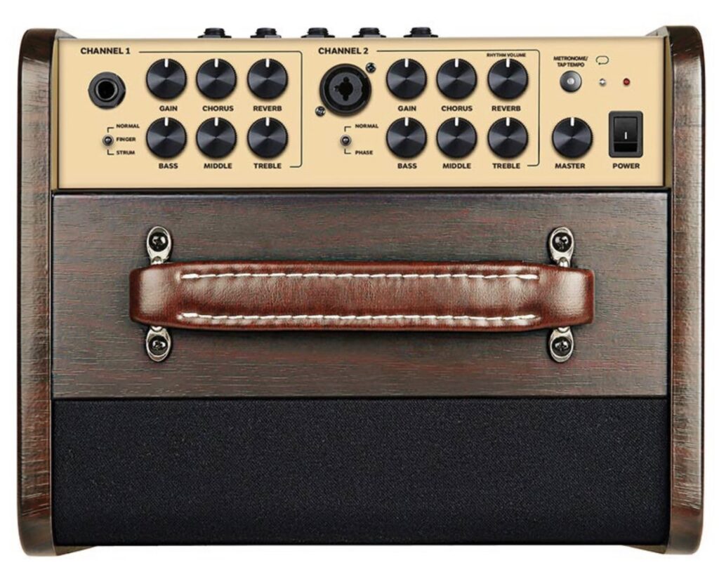 Richwood RPF65 Acoustic versterker