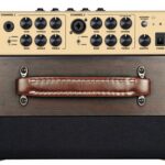 Richwood RPF65 Acoustic versterker