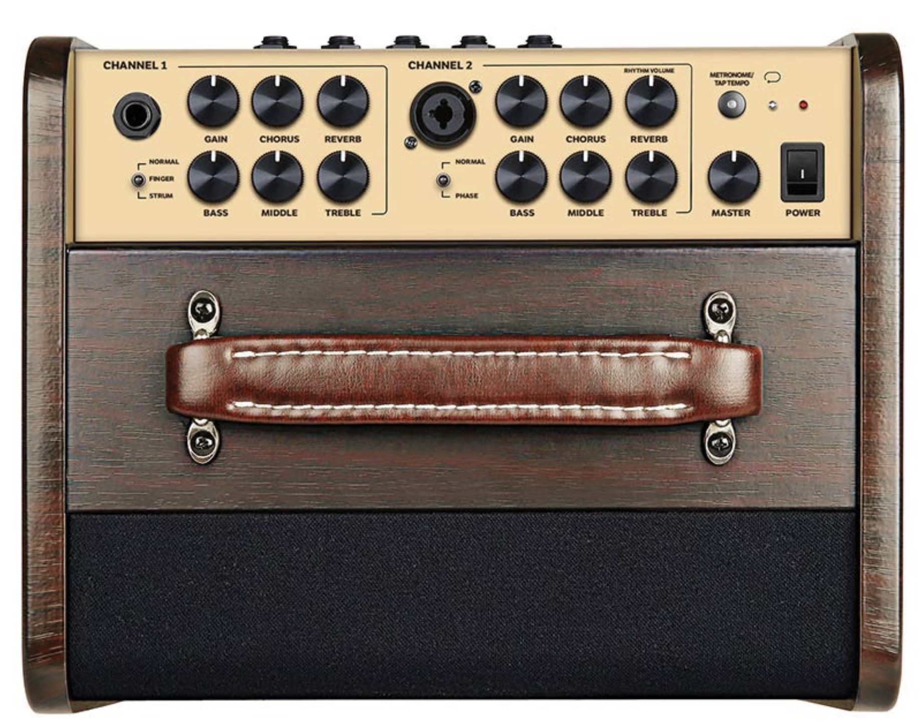 Richwood RPF65 Acoustic versterker