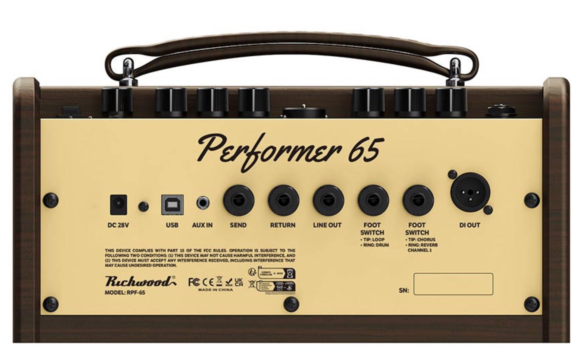 Richwood RPF65 Acoustic versterker