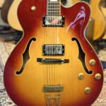 Richwood RE450cb Semi accoustische gitaar