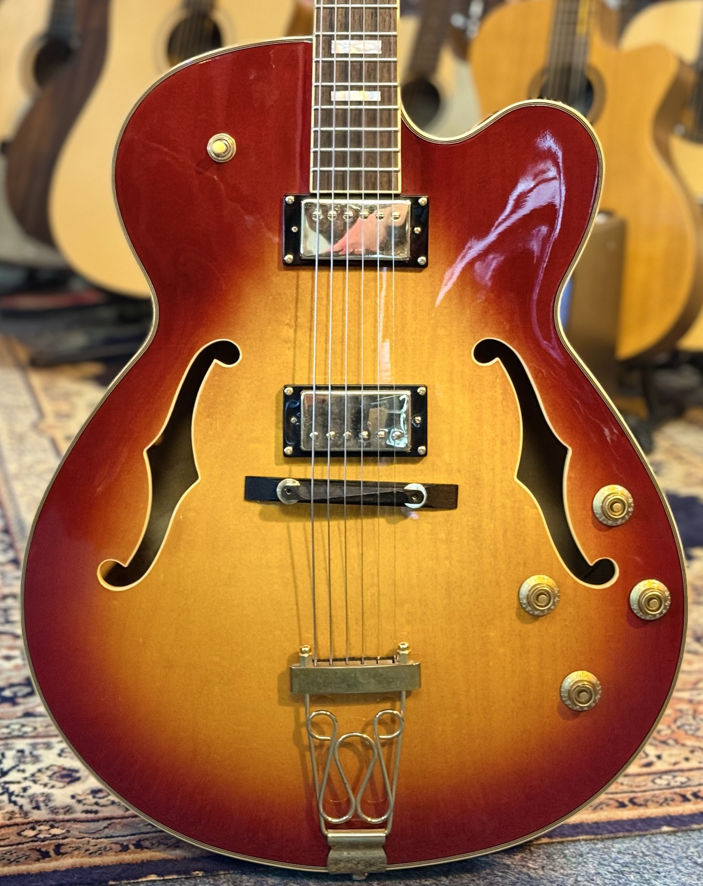 Richwood RE450cb Semi accoustische gitaar