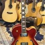 Richwood RE450cb Semi accoustische gitaar