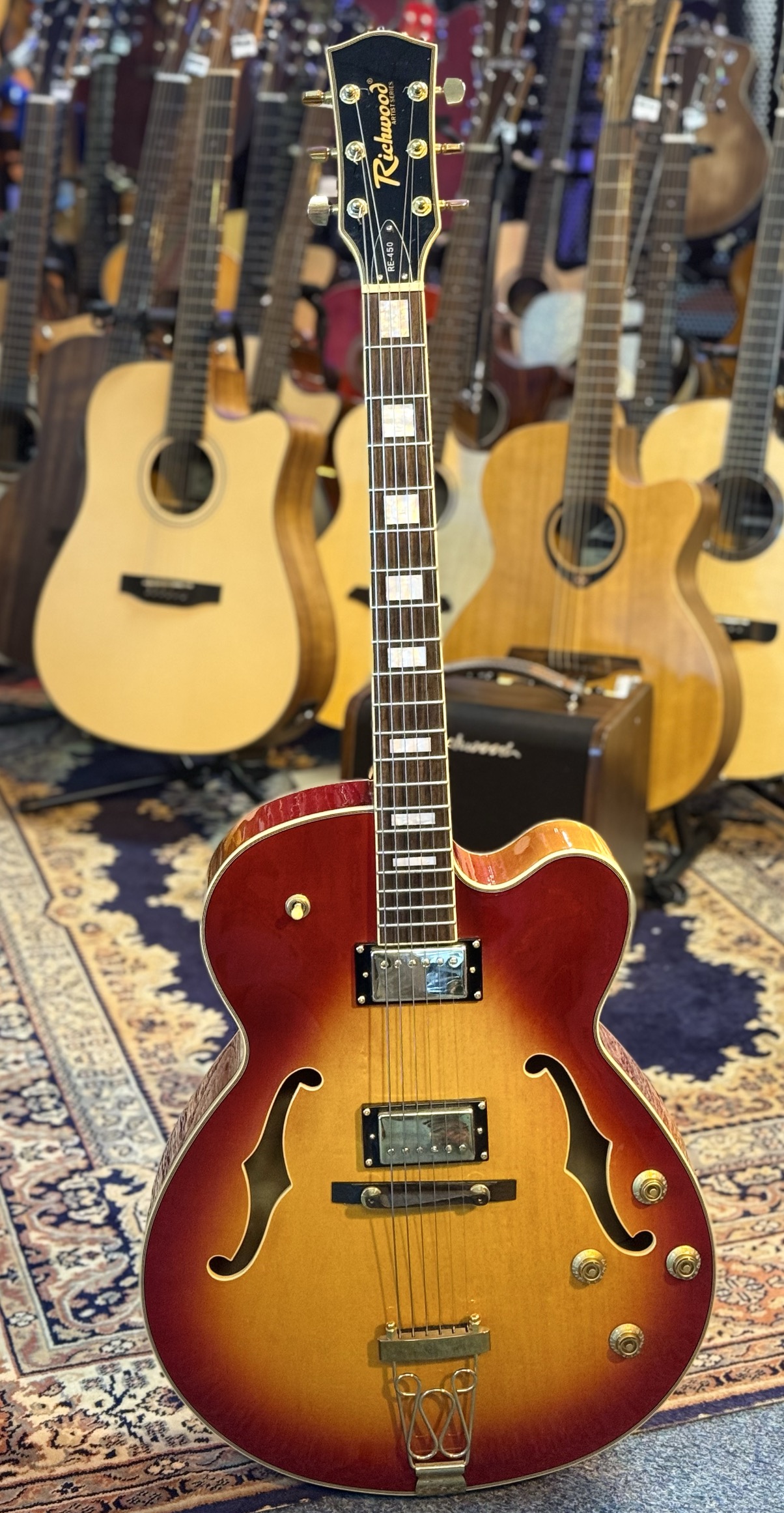 Richwood RE450cb Semi accoustische gitaar
