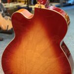 Richwood RE450cb Semi accoustische gitaar