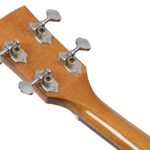 Ibanez PFT2NT (4 String Tenor) Western gitaar