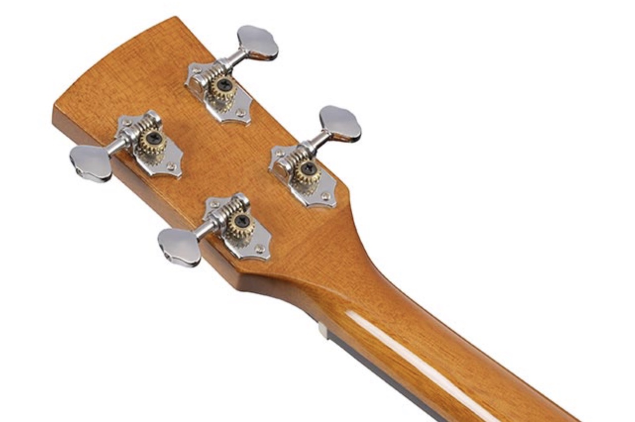 Ibanez PFT2NT (4 String Tenor) Western gitaar