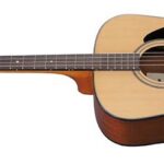 Ibanez PFT2NT (4 String Tenor) Western gitaar
