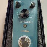 Blackhorn Dig Reverb Reverb