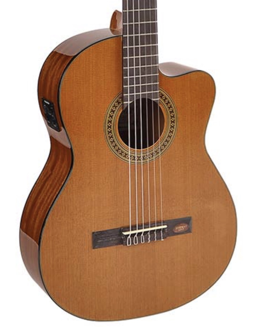 Salvador Cortez CC-10CE Klassieke gitaar met element