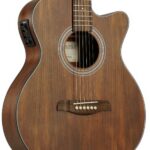 Brunswick BTK30WNO deluxe Western gitaar met element