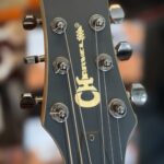 Charvel Desolation DS-2st Electrische gitaar