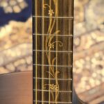 Merida A17GACEH ALCAZABA Western gitaar met element