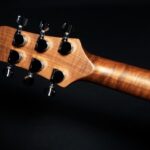 Shergold Provocateur SP12DB Electrische gitaar