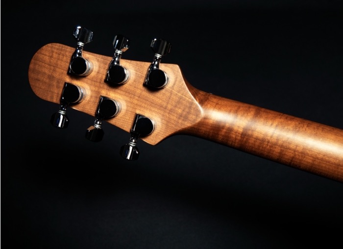 Shergold Provocateur SP12DB Electrische gitaar