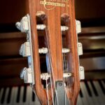 Oscar Schmidt by Washburn OJ40 Gipsy model Western gitaar