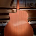 Oscar Schmidt by Washburn OJ40 Gipsy model Western gitaar