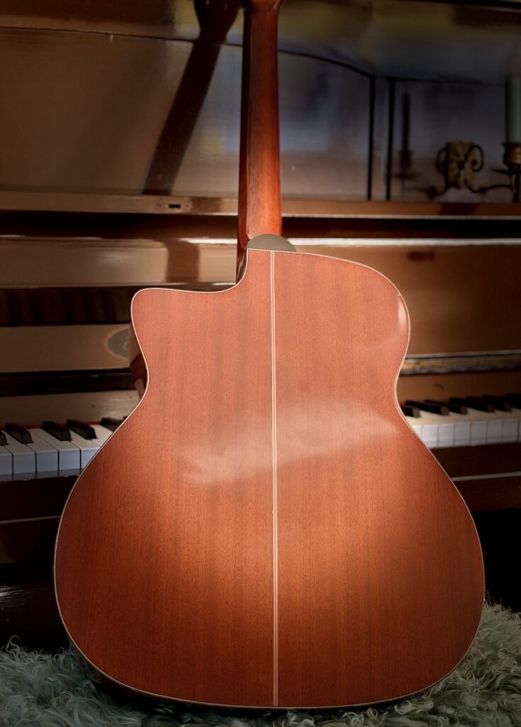 Oscar Schmidt by Washburn OJ40 Gipsy model Western gitaar