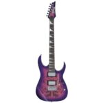 Ibanez GRG220PA3RLB Electrische gitaar