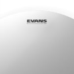 Evans 12" B12G2 genera coated 12" drumvel