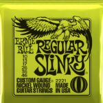 Ernie Ball 2221 Regular Slinky 0.10 Set voor elektrische gitaar