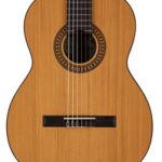Salvador Cortez CC22  solid cedar top Klassieke gitaar
