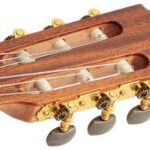 Salvador Cortez CC22  solid cedar top Klassieke gitaar
