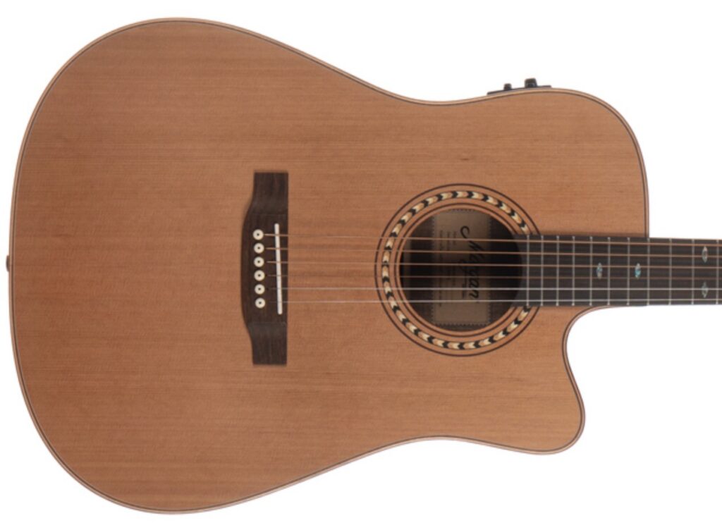 Morgan W309sce deluxe (mat) Western gitaar met element