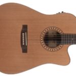 Morgan W309sce deluxe (mat) Western gitaar met element